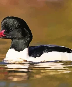 Cute Common Merganser Diamond Painting