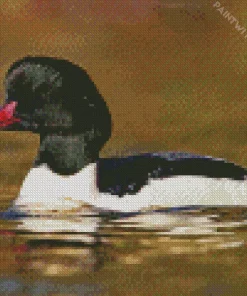 Cute Common Merganser Diamond Painting