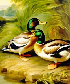 Cute Common Merganser Couple Diamond Painting