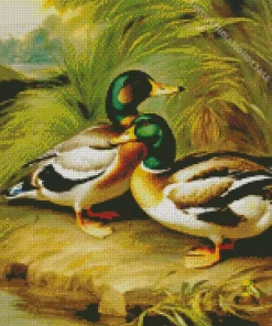 Cute Common Merganser Couple Diamond Painting