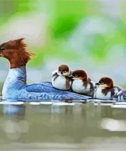 Cute Common Merganser Family Diamond Painting