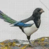 Cute Eurasian Magpie Diamond Painting