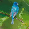 Cute Indigo Bunting Bird Diamond Painting