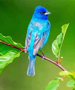 Cute Indigo Bunting Bird Diamond Painting