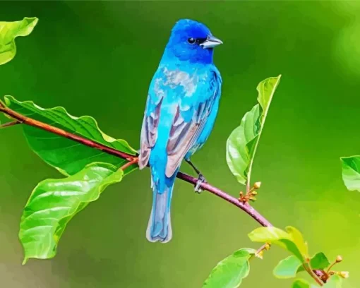 Cute Indigo Bunting Bird Diamond Painting