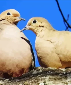 Cute Mourning Doves Diamond Painting