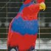 Cute Red And Blue Lory Diamond Painting
