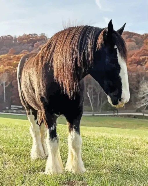 Cute Shire Horse Diamond Painting