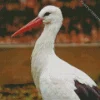 Cute Storks Diamond Painting