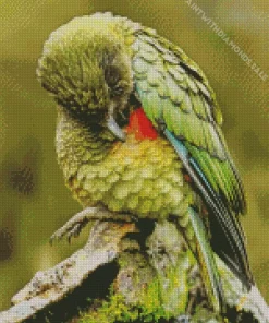 Cute Green Kea Bird Diamond Painting