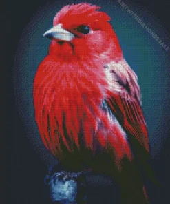 Cute Red Canary Bird Diamond Painting