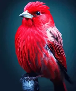 Cute Red Canary Bird Diamond Painting