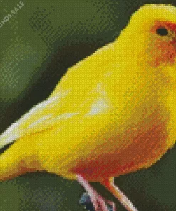 Cute Yellow Canary Diamond Painting