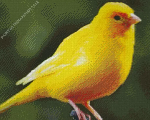 Cute Yellow Canary Diamond Painting