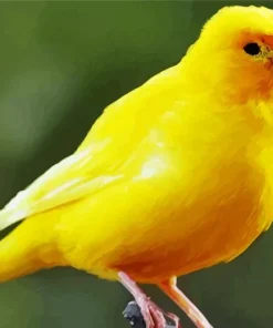 Cute Yellow Canary Diamond Painting