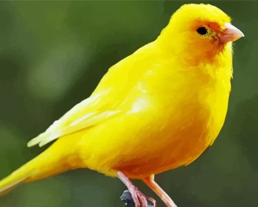 Cute Yellow Canary Diamond Painting