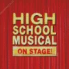 Disney High School Musical Diamond Painting
