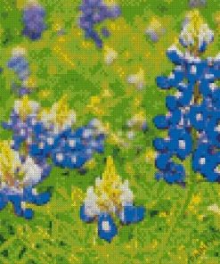 Flowering Bluebonnets Diamond Painting