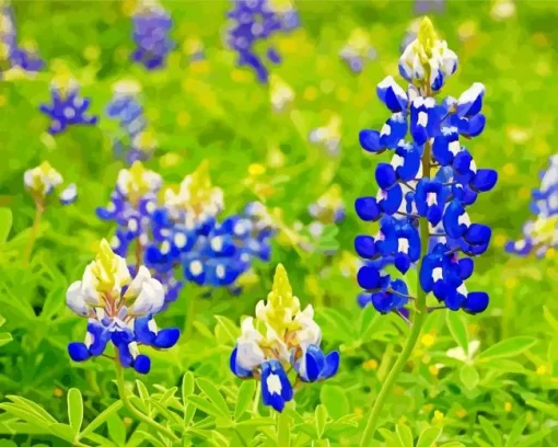 Flowering Bluebonnets Diamond Painting