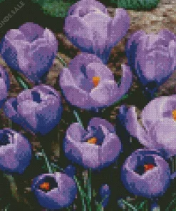 Flowering Crocus Diamond Painting