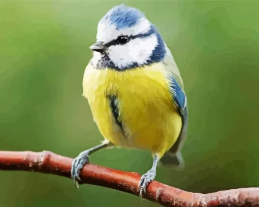 Fluffy Blue Tit Diamond Painting