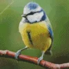 Fluffy Blue Tit Diamond Painting