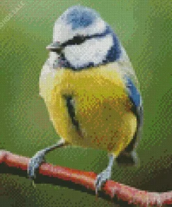 Fluffy Blue Tit Diamond Painting