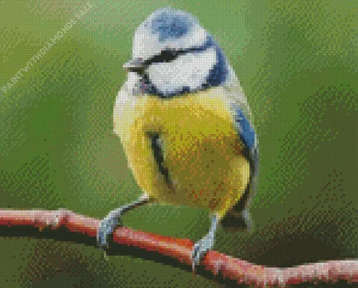 Fluffy Blue Tit Diamond Painting