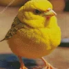 Fluffy Canary Bird Diamond Painting