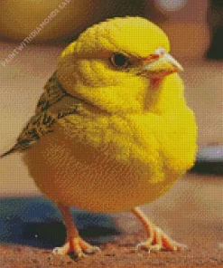 Fluffy Canary Bird Diamond Painting