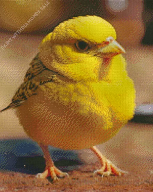 Fluffy Canary Bird Diamond Painting