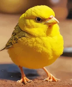 Fluffy Canary Bird Diamond Painting