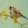 Fluffy Carduelis Bird Diamond Painting