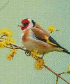 Fluffy Carduelis Bird Diamond Painting