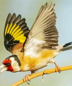 Flying Carduelis Bird Diamond Painting