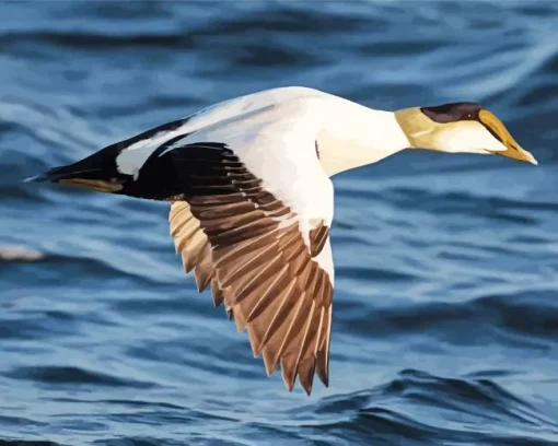 Flying Common Eider Diamond Painting