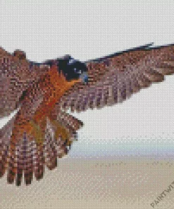 Flying Falcon Bird Diamond Painting