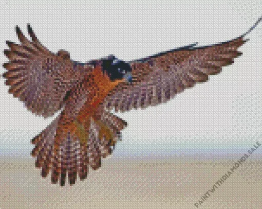 Flying Falcon Bird Diamond Painting