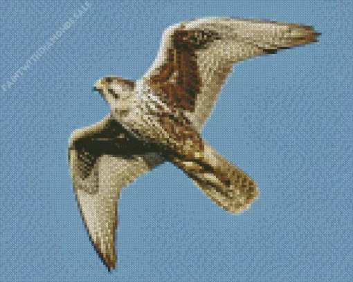 Flying Falcon Diamond Painting