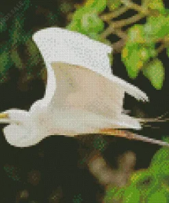 Flying Great Egret Diamond Painting