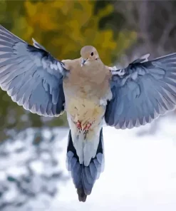 Flying Mourning Dove Diamond Painting