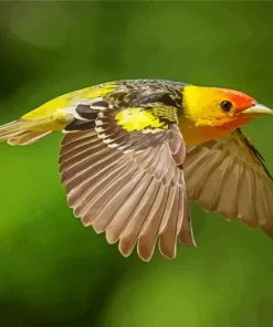 Flying Western Tanager Diamond Painting