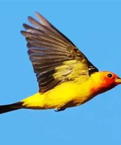 Flying Western Tanager Bird Diamond Painting