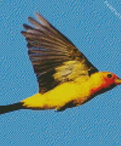 Flying Western Tanager Bird Diamond Painting