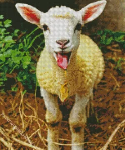 Funny Sheep Diamond Painting