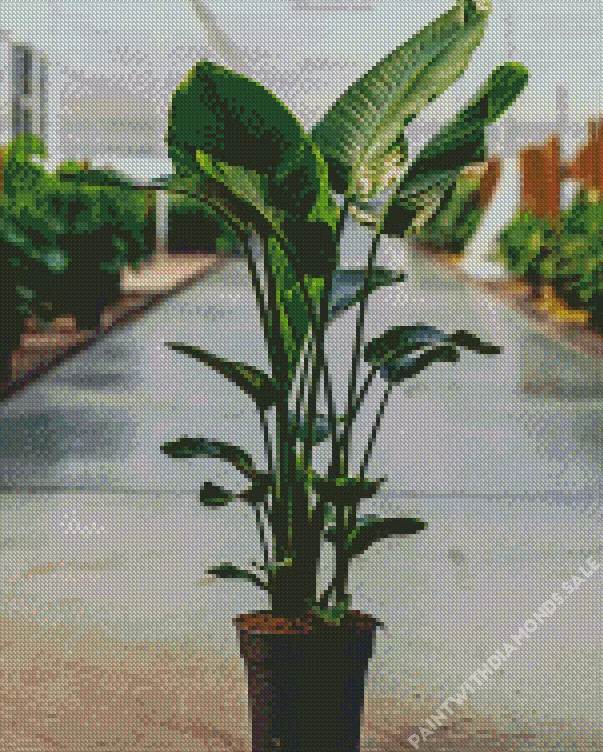 green Bird of paradise Diamond Dotz Green Bird Of Paradise Diamond Painting