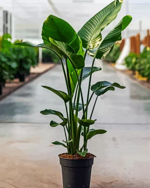 green Bird of paradise Diamond Paints Green Bird Of Paradise Diamond Painting