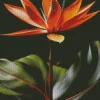 Green And Orange Bird Of paradise Diamond Painting
