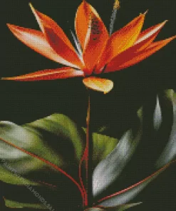 Green And Orange Bird Of paradise Diamond Painting