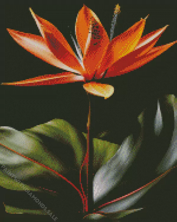green and orange Bird of paradise Diamond Dotz Green And Orange Bird Of paradise Diamond Painting